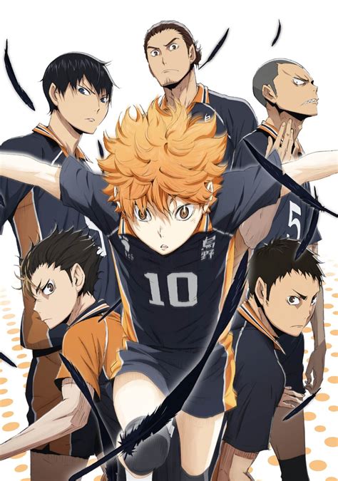 haikyuu wiki